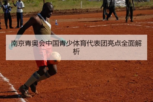南京青奥会中国青少体育代表团亮点全面解析