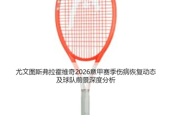 尤文图斯弗拉霍维奇2026意甲赛季伤病恢复动态及球队前景深度分析