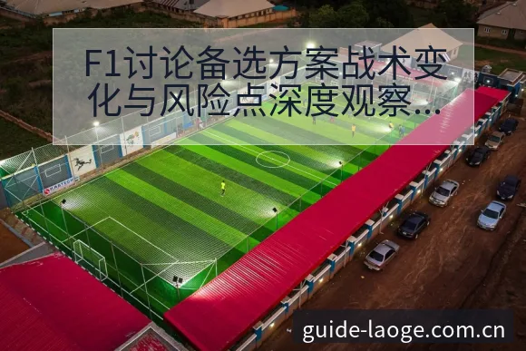 F1讨论备选方案战术变化与风险点深度观察 - 老哥网