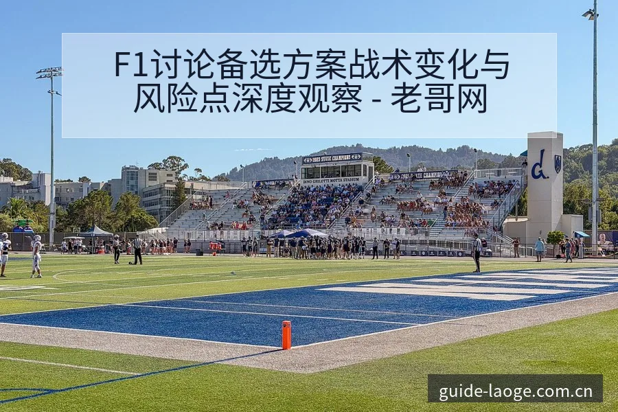 F1讨论备选方案战术变化与风险点深度观察 - 老哥网